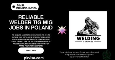 Reliable Welder Tig Mig Jobs in Poland