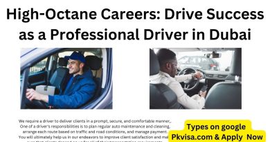 Professional Driver in Dubai