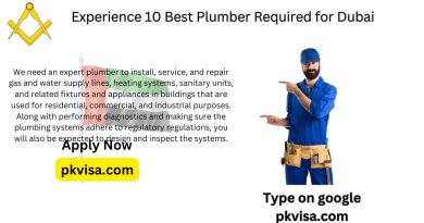 Experience 10 Best Plumber Required for Dubai