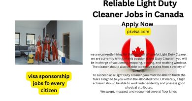 04 Reliable Light Duty Cleaner Jobs in Canada